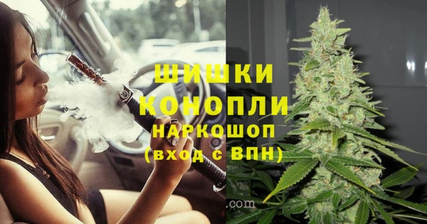 винт Алзамай
