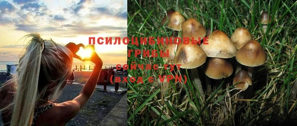винт Алзамай