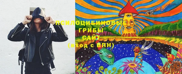 дмт Алексеевка