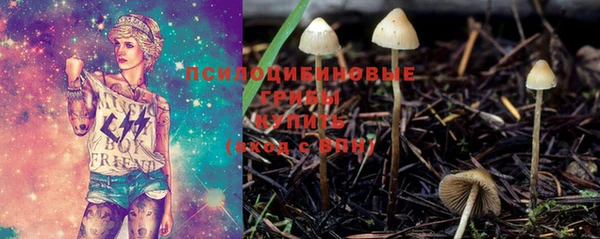 винт Алзамай