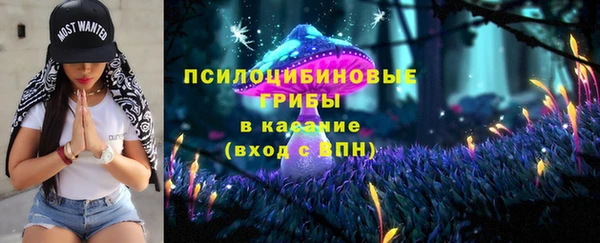 дмт Алексеевка