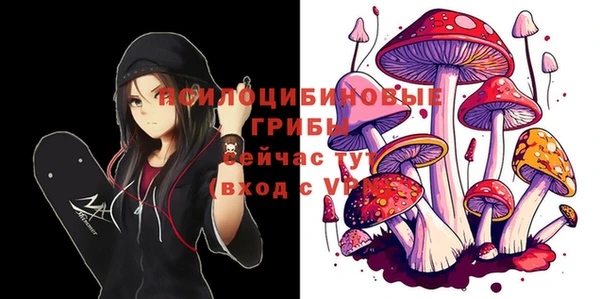 дмт Алексеевка