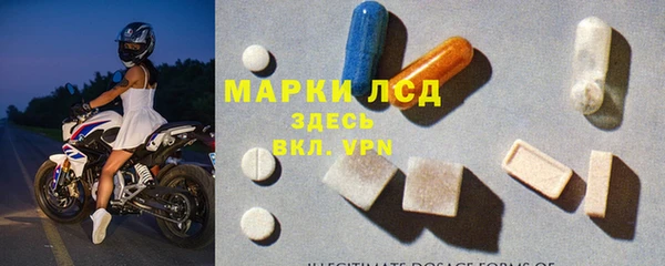 винт Алзамай