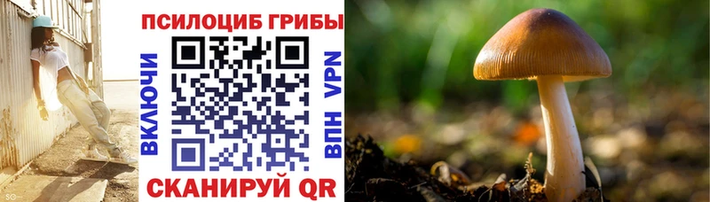Псилоцибиновые грибы ЛСД  Поронайск 
